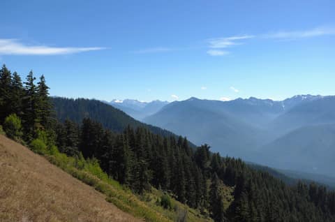 Olympic Peninsula, bank 6, frame 17 of 42