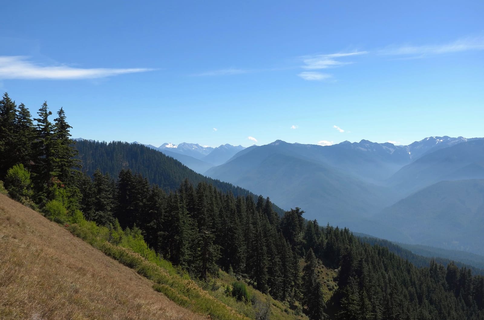 Olympic Peninsula, bank 6, frame 17 of 42