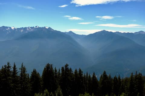 Olympic Peninsula, bank 6, frame 18 of 42
