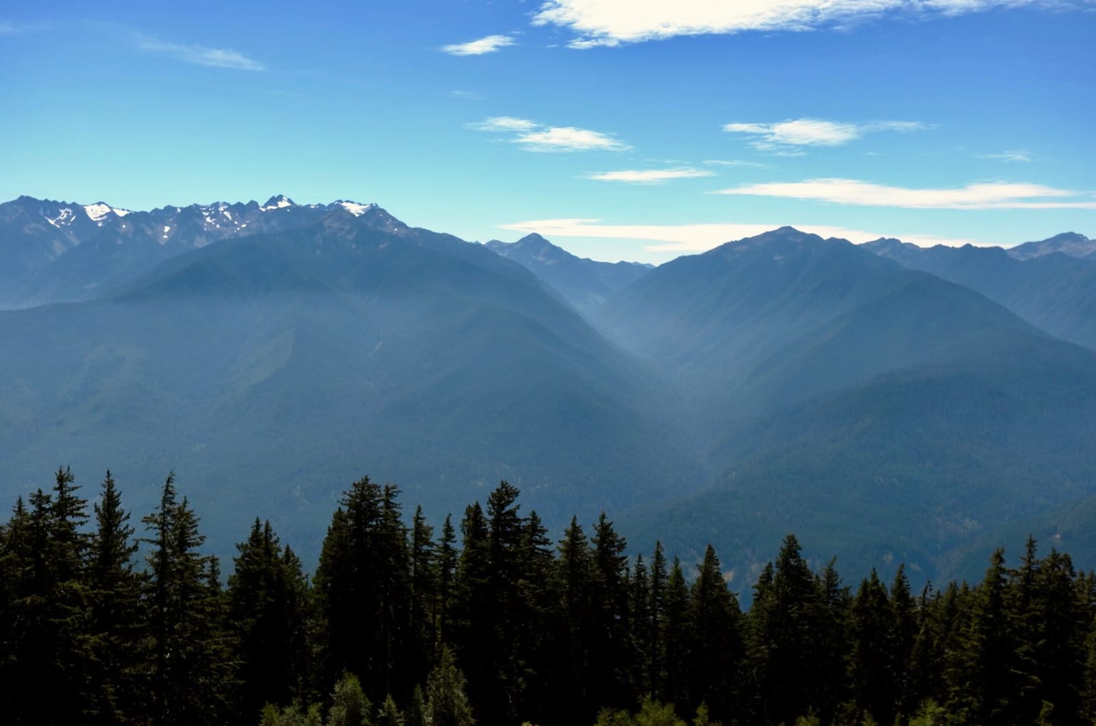Olympic Peninsula, bank 6, frame 18 of 42