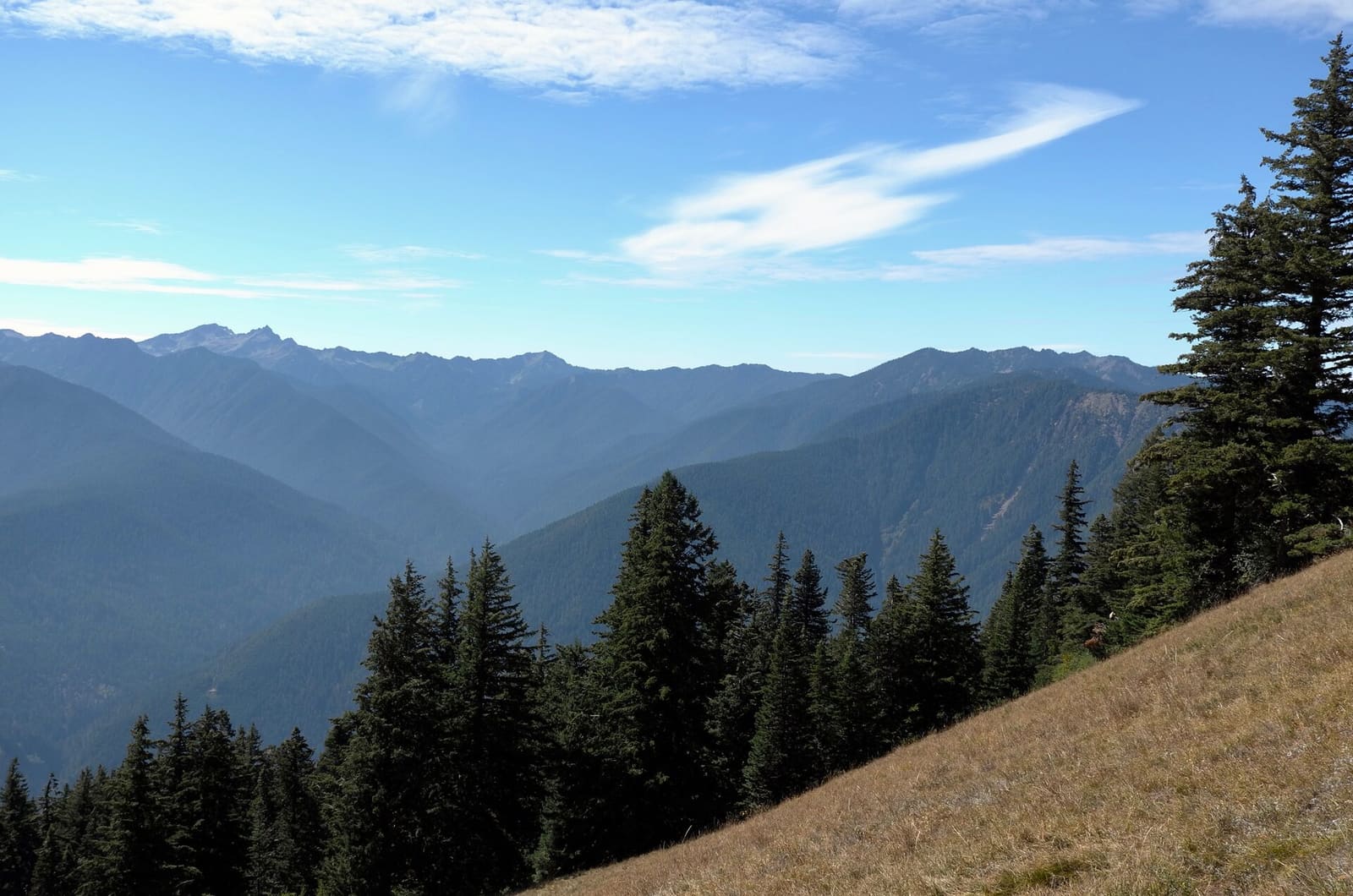 Olympic Peninsula, bank 6, frame 19 of 42