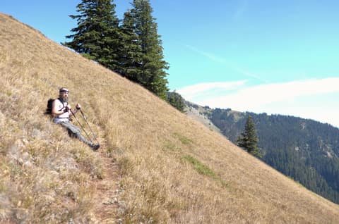 Olympic Peninsula, bank 6, frame 20 of 42