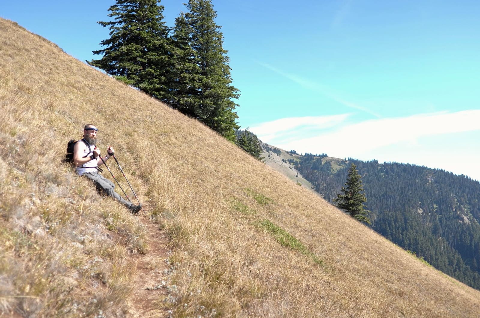 Olympic Peninsula, bank 6, frame 20 of 42