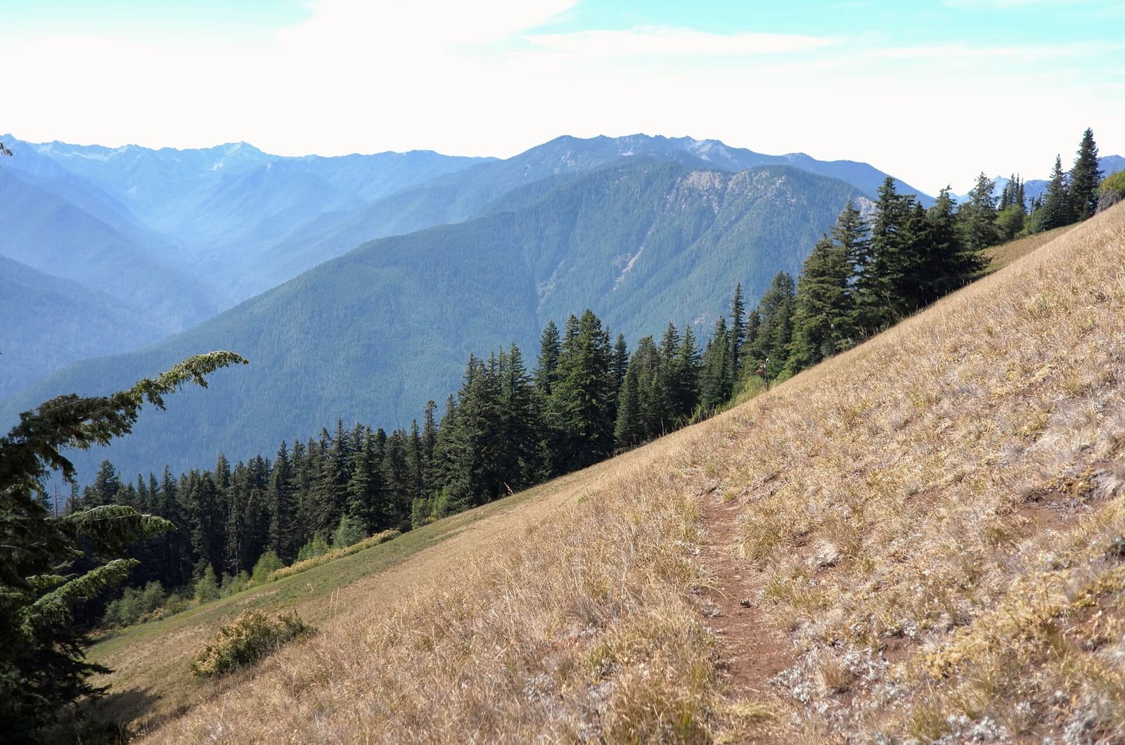 Olympic Peninsula, bank 6, frame 21 of 42
