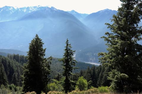 Olympic Peninsula, bank 6, frame 22 of 42