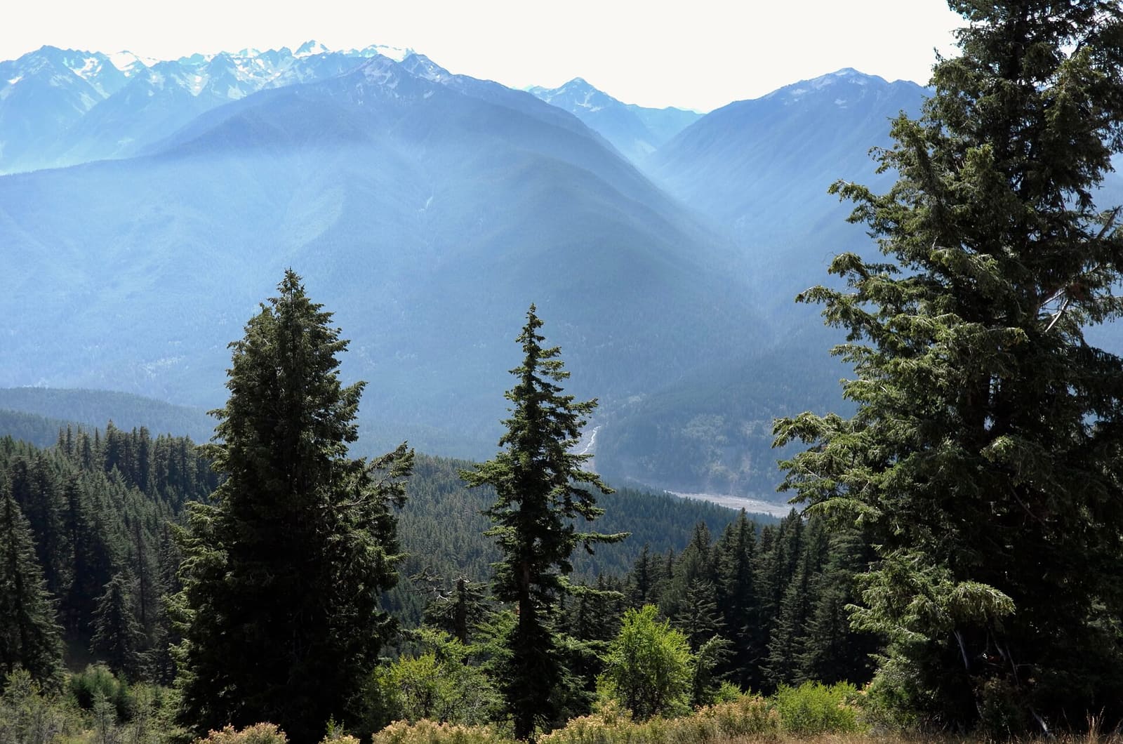 Olympic Peninsula, bank 6, frame 22 of 42