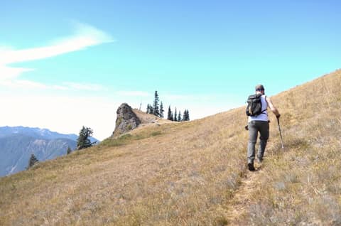 Olympic Peninsula, bank 6, frame 23 of 42
