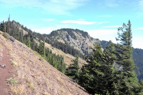 Olympic Peninsula, bank 6, frame 24 of 42