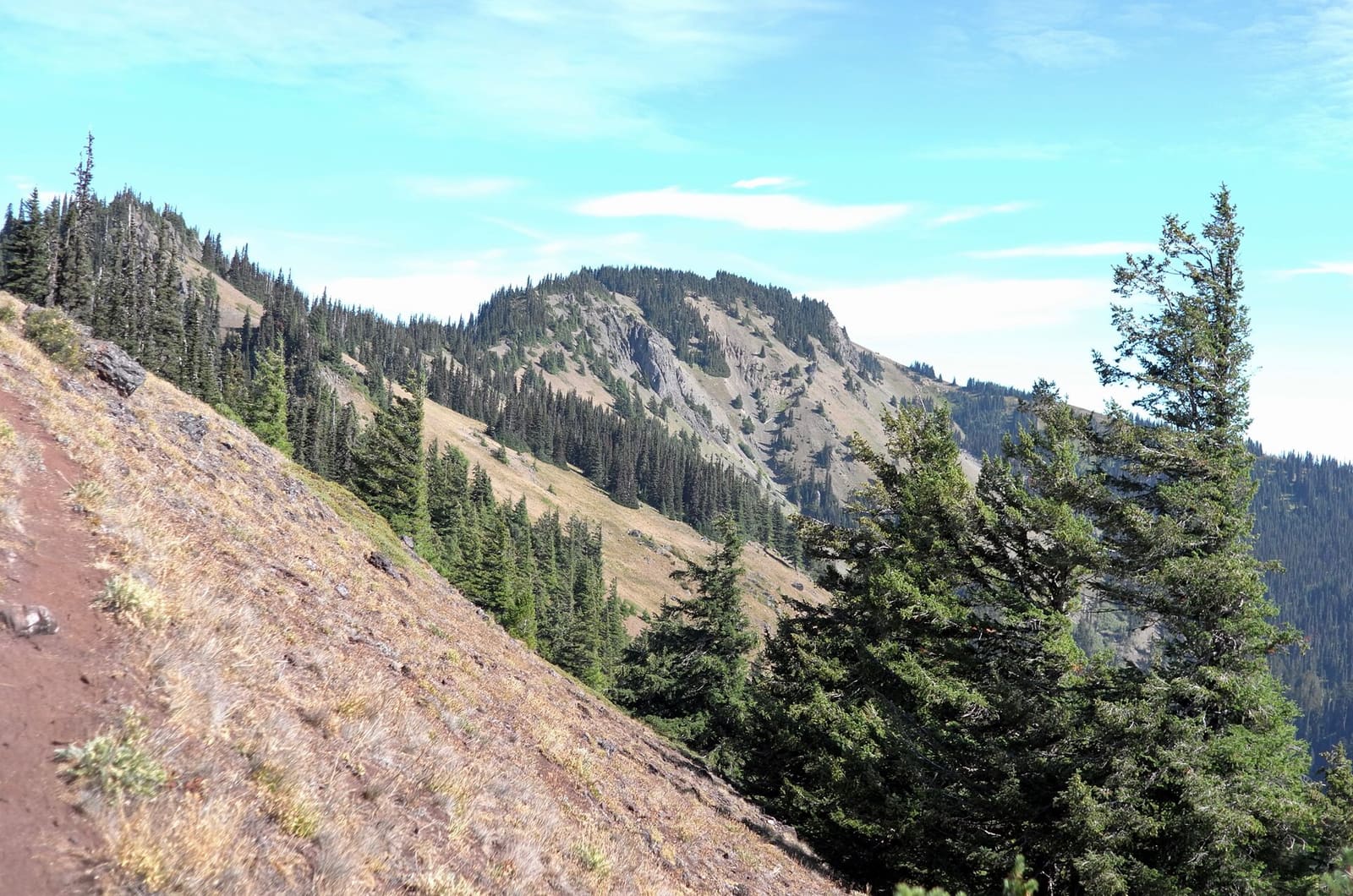 Olympic Peninsula, bank 6, frame 24 of 42