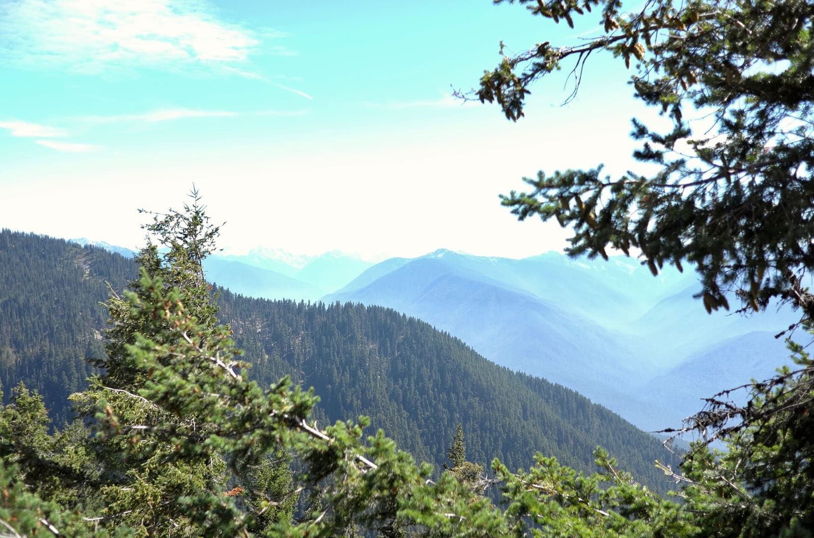 Olympic Peninsula, bank 6, frame 25 of 42
