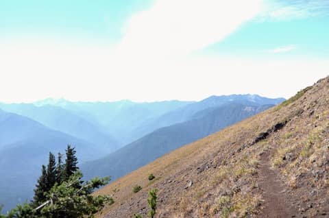 Olympic Peninsula, bank 6, frame 26 of 42