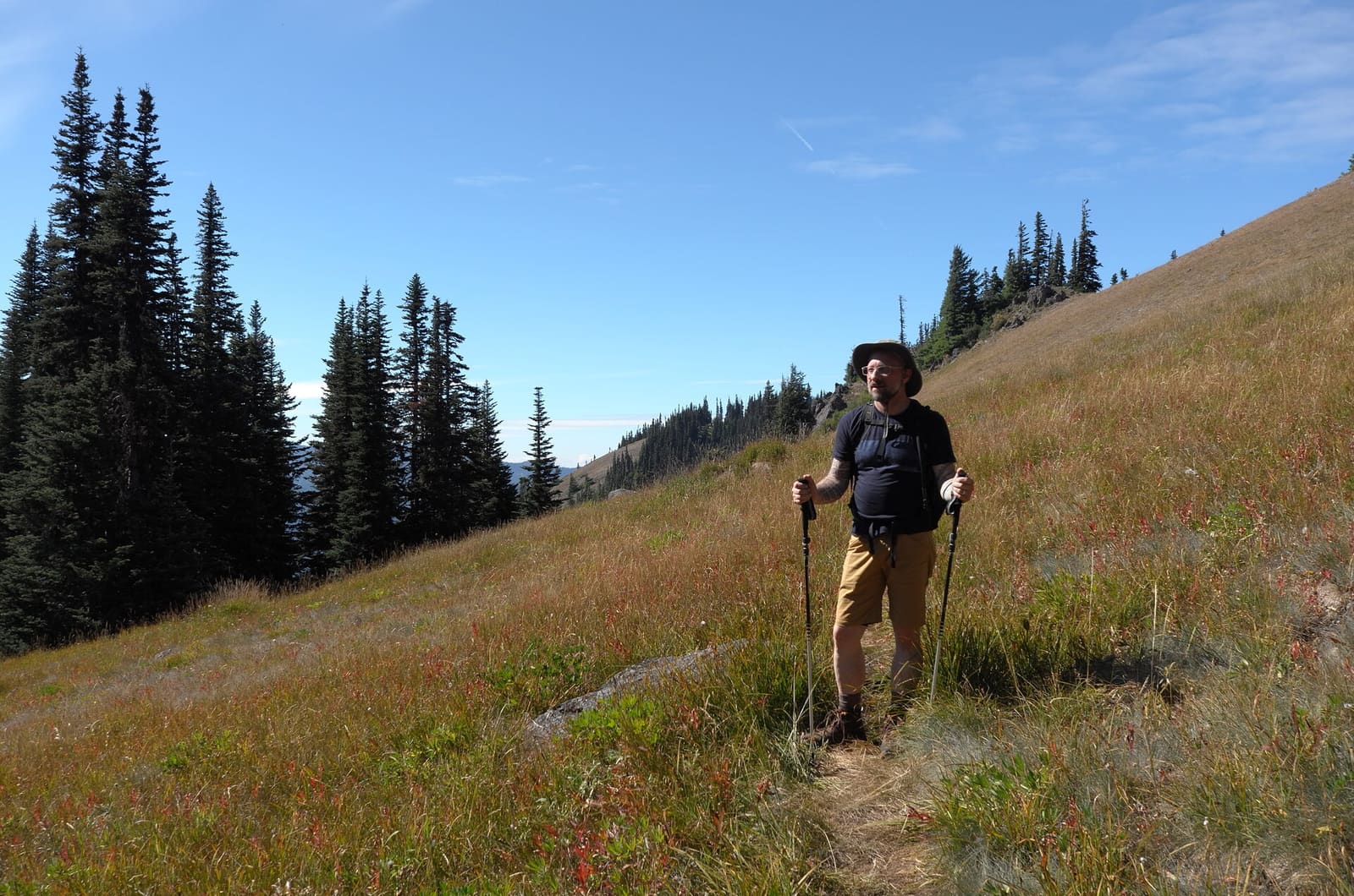 Olympic Peninsula, bank 6, frame 27 of 42