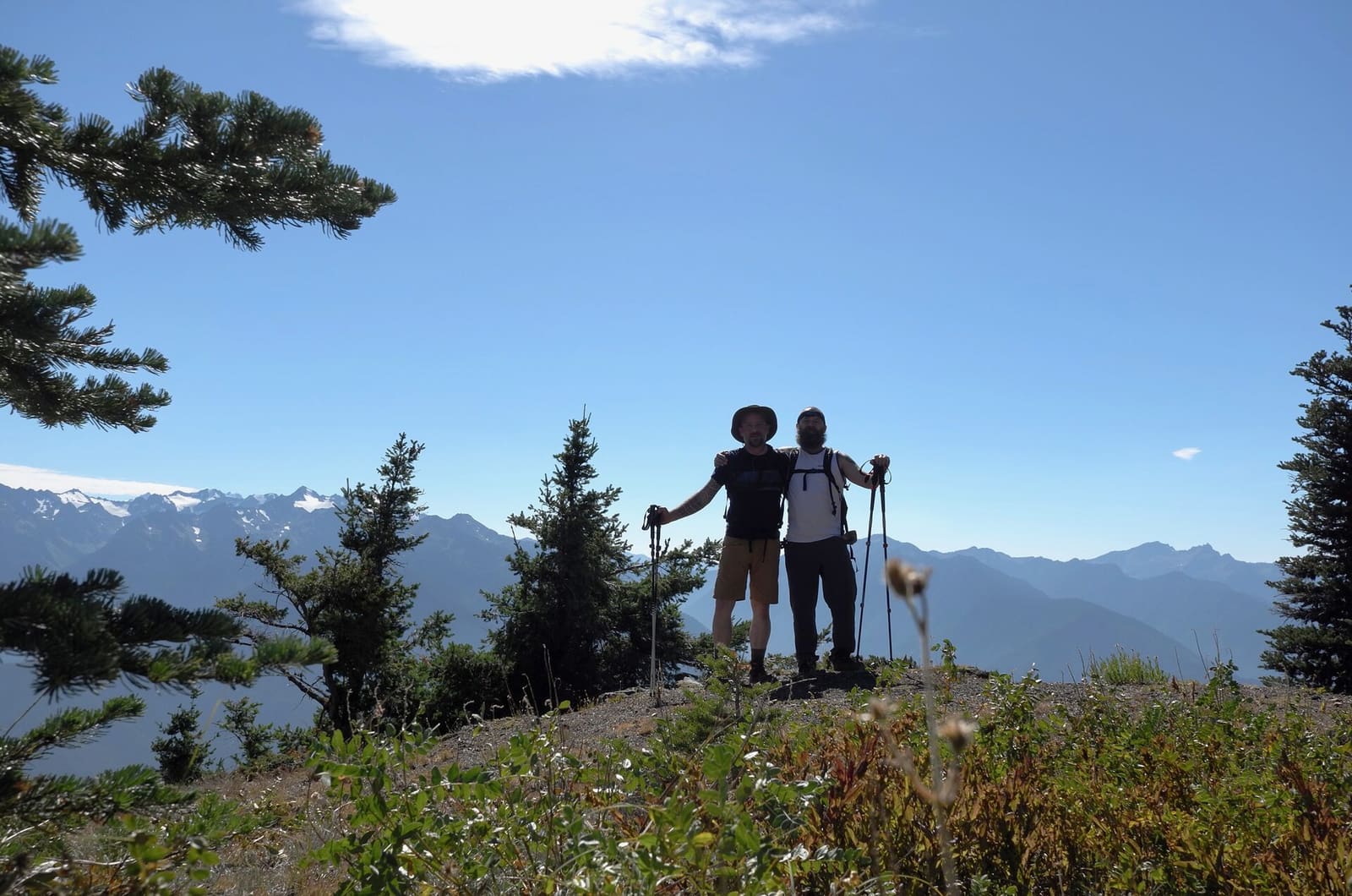 Olympic Peninsula, bank 6, frame 28 of 42