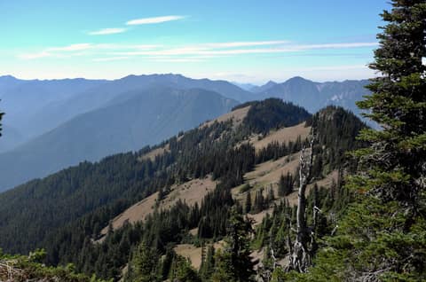 Olympic Peninsula, bank 6, frame 30 of 42
