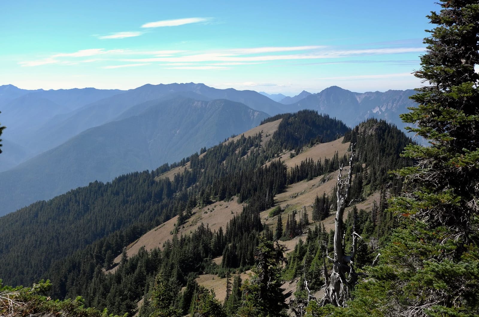 Olympic Peninsula, bank 6, frame 30 of 42
