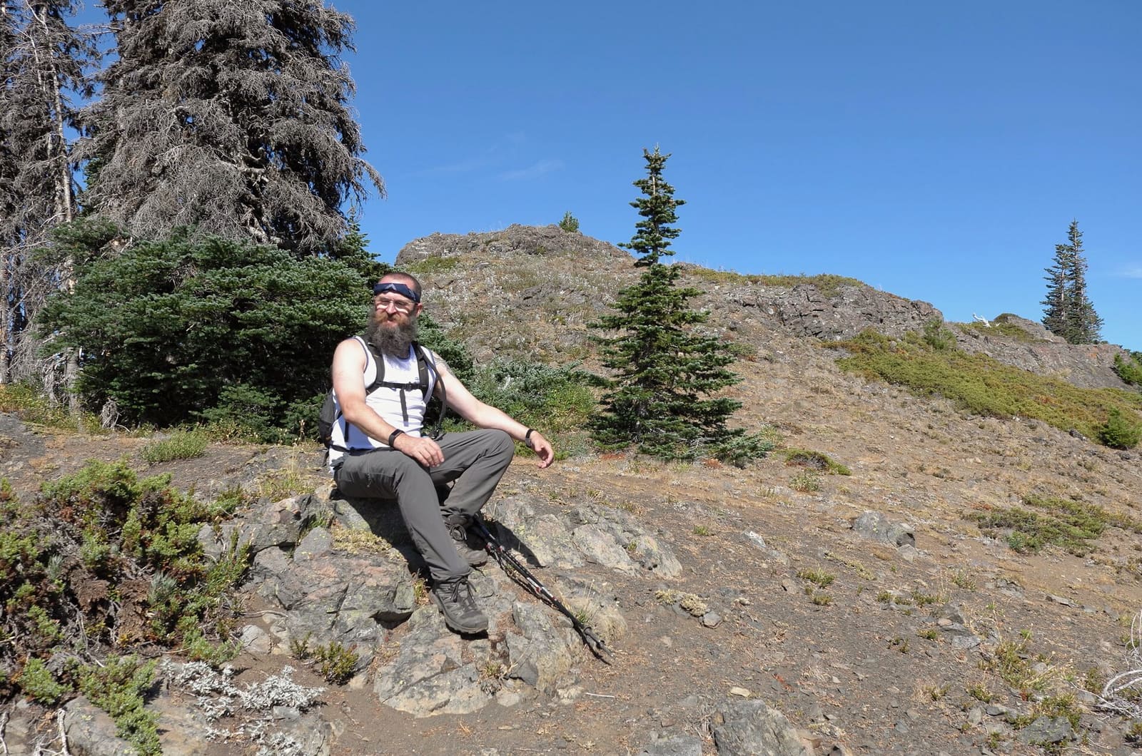 Olympic Peninsula, bank 6, frame 31 of 42