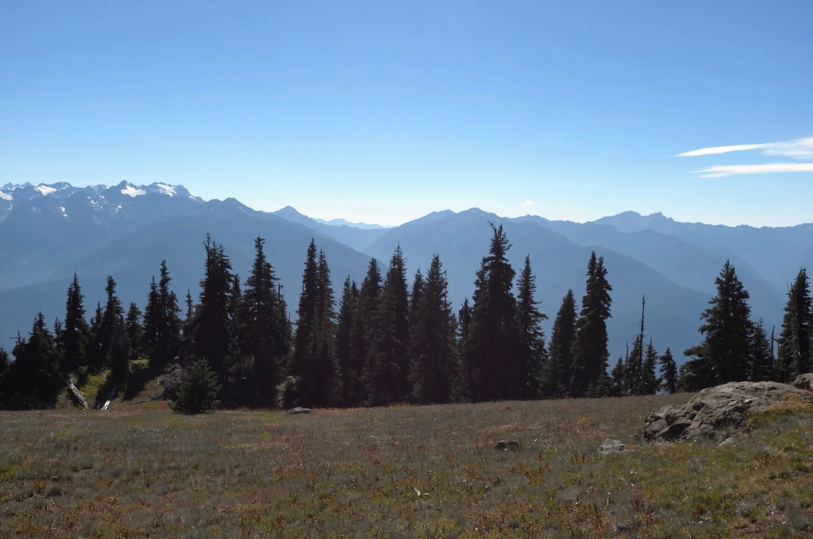 Olympic Peninsula, bank 6, frame 32 of 42