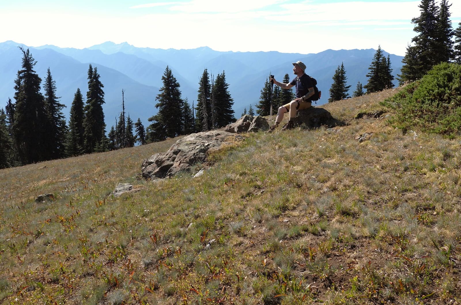 Olympic Peninsula, bank 6, frame 33 of 42