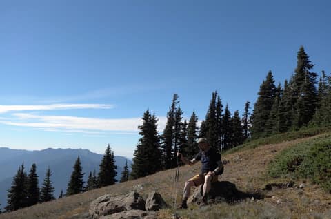 Olympic Peninsula, bank 6, frame 34 of 42