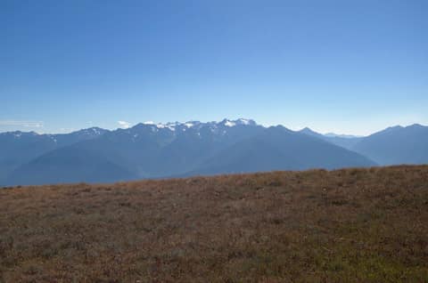 Olympic Peninsula, bank 6, frame 38 of 42