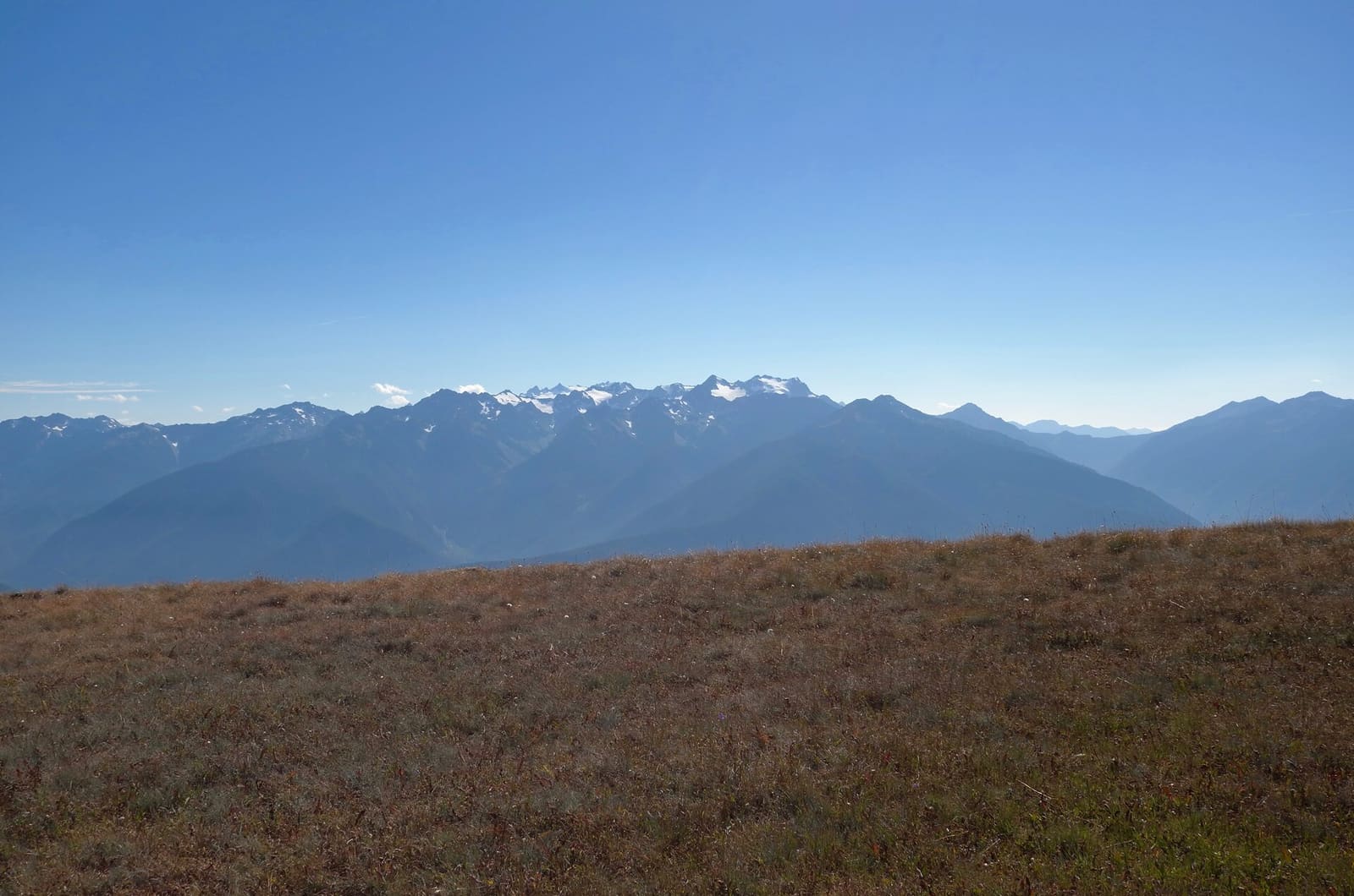 Olympic Peninsula, bank 6, frame 38 of 42