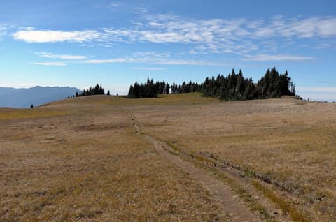 Olympic Peninsula, bank 6, frame 39 of 42