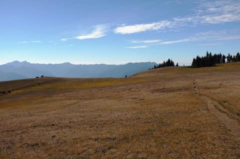 Olympic Peninsula, bank 6, frame 40 of 42