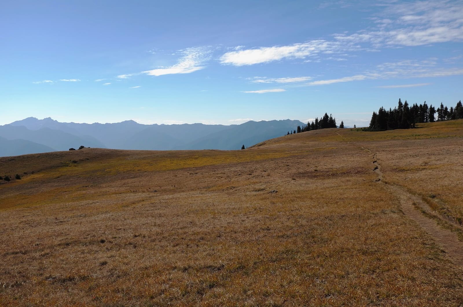Olympic Peninsula, bank 6, frame 40 of 42