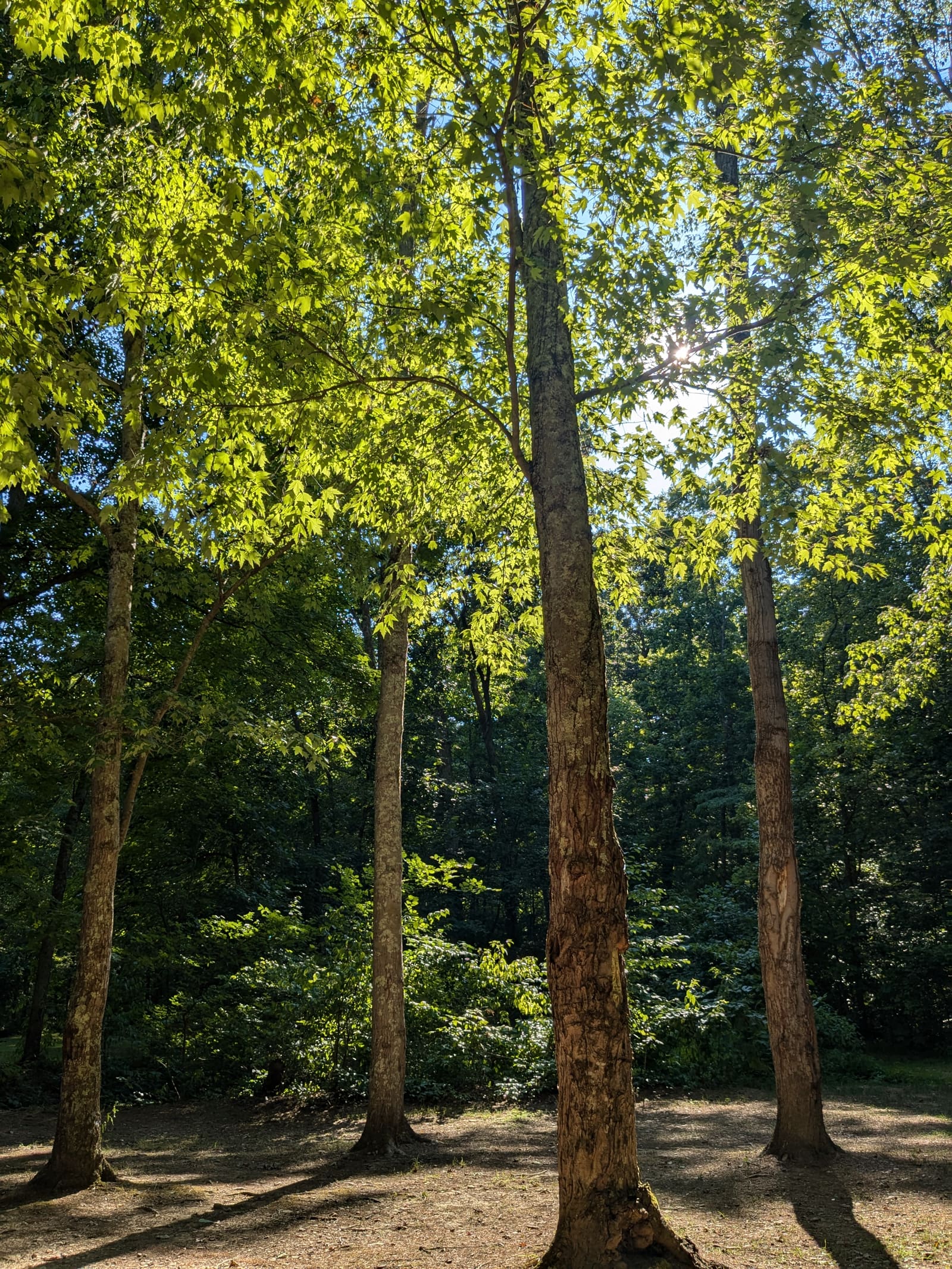 Scioto Trail State Park, frame 1 of 4