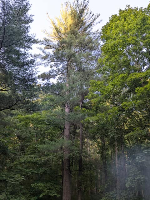 Scioto Trail State Park, frame 2 of 4